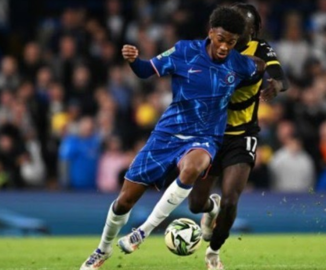 活杯女网资 活杯女网资