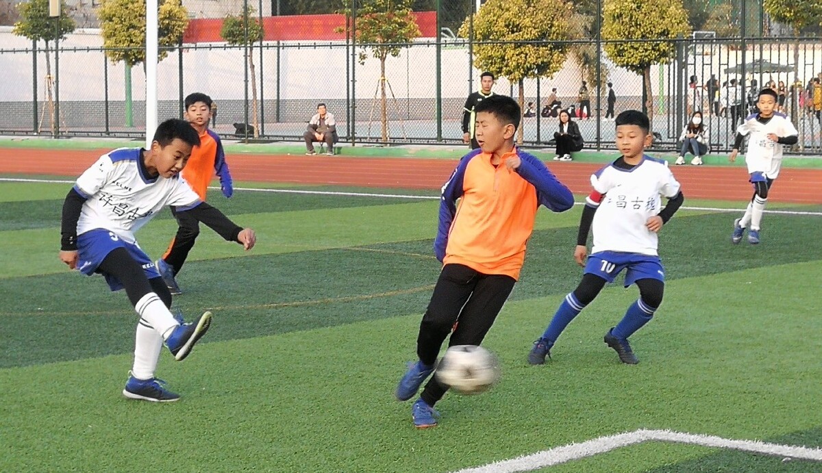 持续发展的 持续发展的